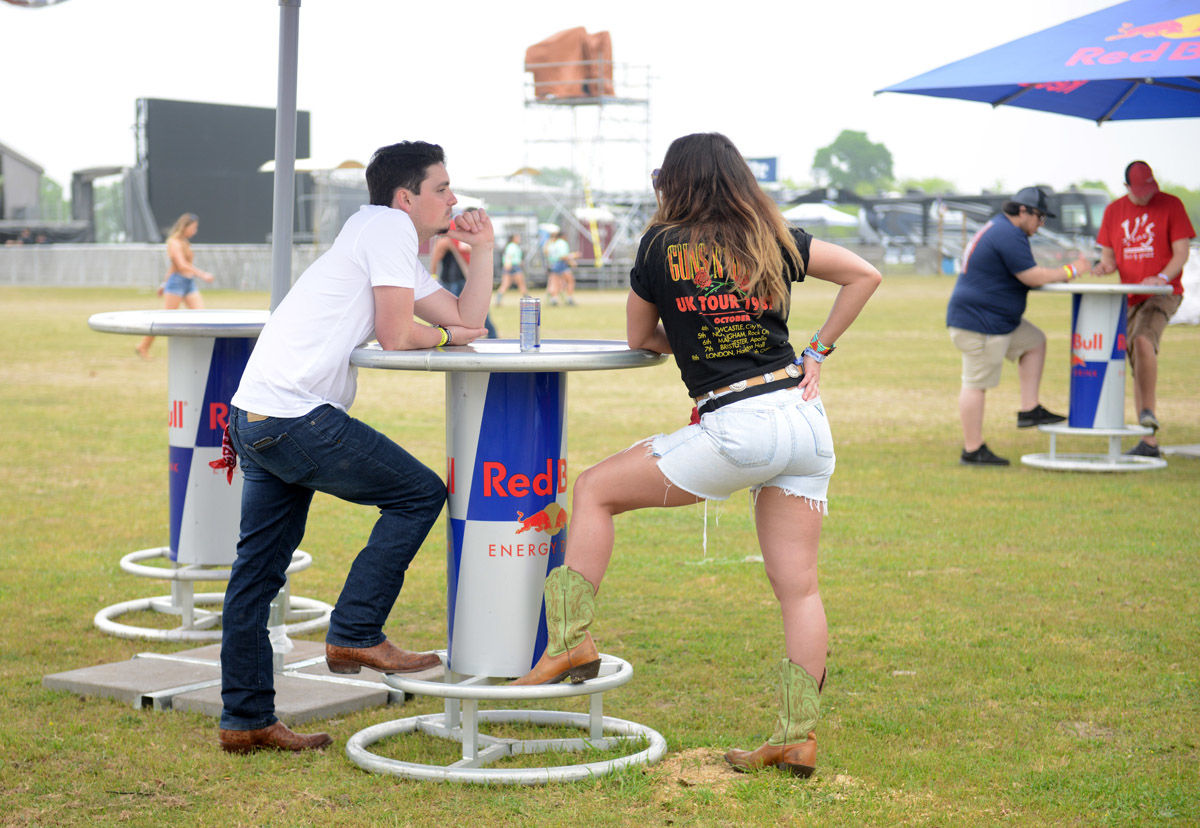 Chilifest 2019